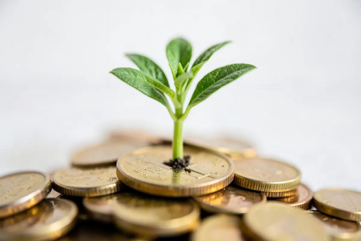 Uma planta crescendo de moedas, simbolizando o crescimento financeiro após a partilha.