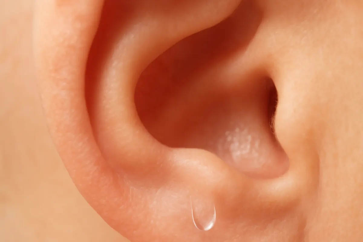 close-up extremo de um ouvido com uma gota de água prestes a sair