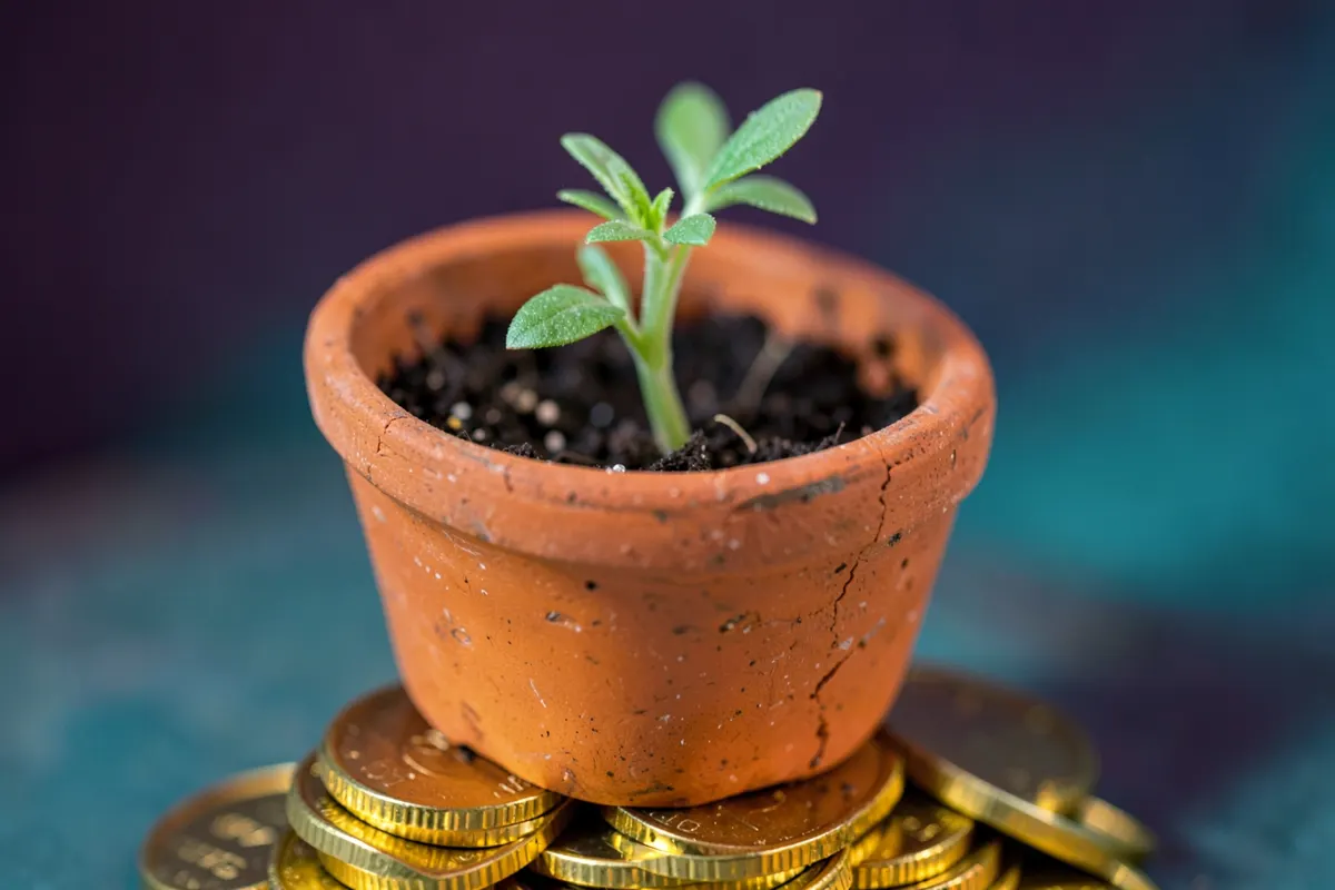 Uma planta crescendo em um vaso sobre uma pilha de moedas de ouro, simbolizando o retorno do investimento em ergonomia.