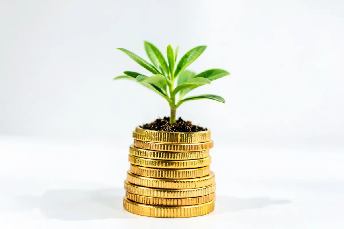 Planta crescendo em um vaso sobre uma pilha de moedas, simbolizando crescimento financeiro. Keyword: marketing digital para médico.
