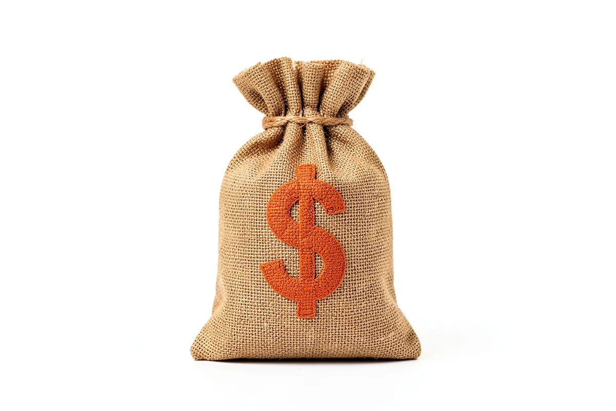 Um saco de dinheiro com um símbolo de dólar em relevo, em fundo branco.